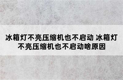 冰箱灯不亮压缩机也不启动 冰箱灯不亮压缩机也不启动啥原因